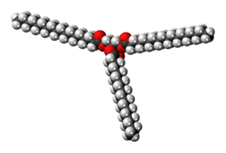 Space-filling model of the tristearin molecule