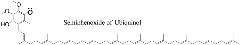 Ubiquinol, semiphenoxide