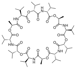 Skeletal formula of valinomycin