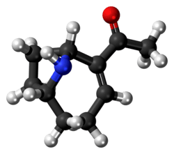Ball-and-stick model of the anatoxin-a molecule