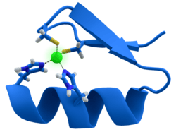 A twisted band, with one side painted blue and another gray. Its two ends are connected through some chemical species to a green atom (zinc).