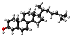 Ball-and-stick model of zymosterol