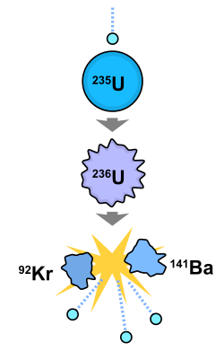 A diagram showing a chain transformation of uranium-235 to uranium-236 to barium-141 and krypton-92