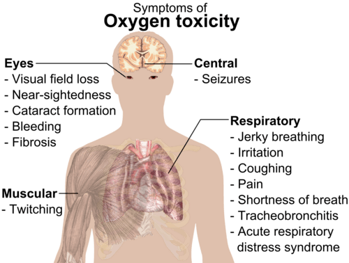 A diagram showing a male torso and listing symptoms of oxygen toxicity: Eyes&nbsp;– visual field loss, nearsightedness, cataract formation, bleeding, fibrosis; Head&nbsp;– seizures; Muscles&nbsp;– twitching; Respiratory system&nbsp;– jerky breathing, irritation, coughing, pain, shortness of breath, tracheobronchitis, acute respiratory distress syndrome.
